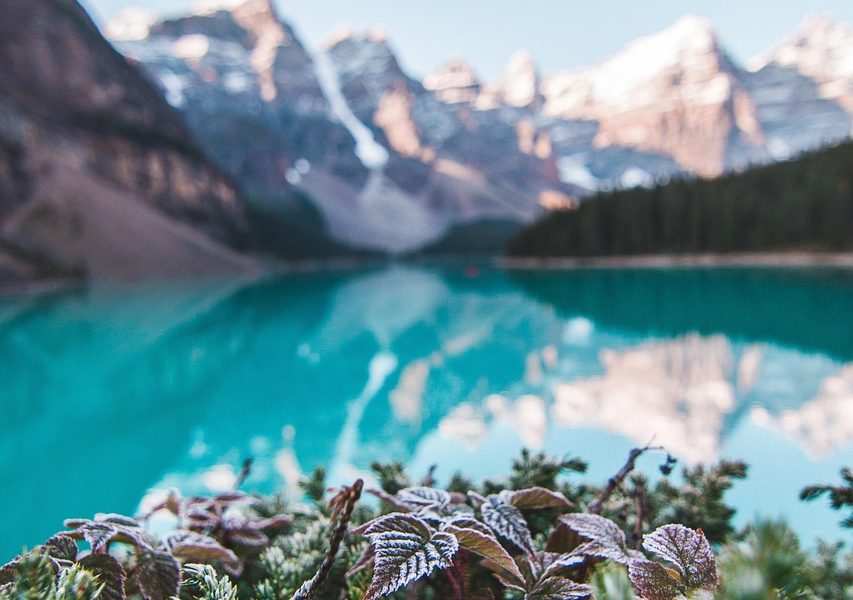 découvrez l'univers du camping : des conseils pratiques, des destinations idéales et des astuces pour profiter pleinement de vos séjours en plein air. évadez-vous dans la nature et vivez des moments inoubliables en famille ou entre amis.