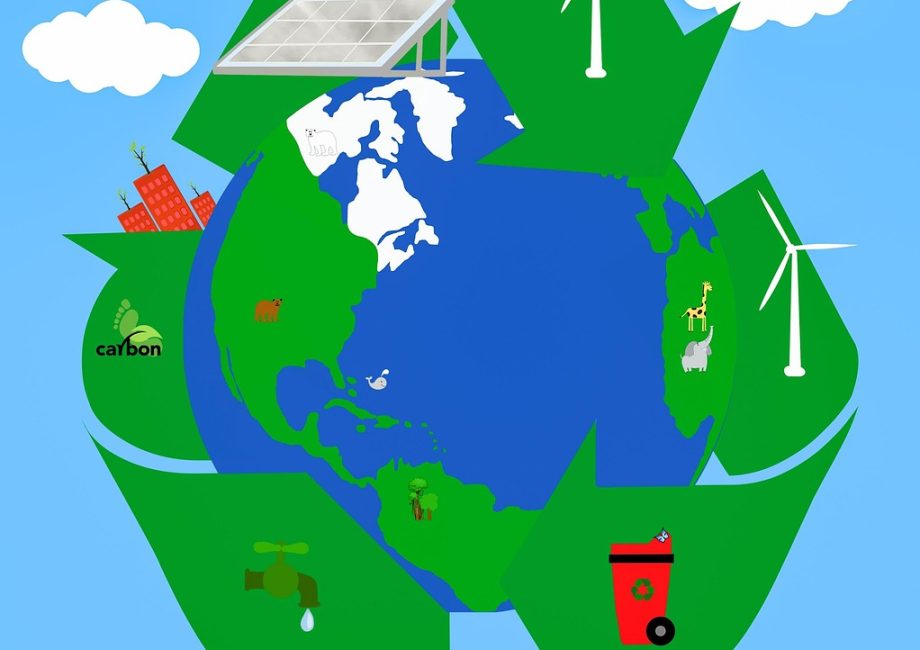 découvrez l'évasion durable : des voyages éco-responsables qui préservent la nature tout en offrant des expériences inoubliables. immergez-vous dans des destinations respectueuses de l'environnement et engagez-vous pour un avenir plus vert.