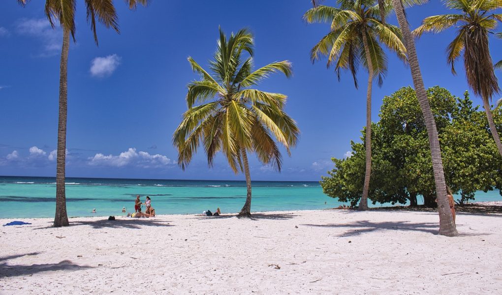 découvrez des destinations fascinantes à travers le monde. trouvez des idées de voyages, des conseils pratiques et des inspirations pour explorer de nouveaux horizons. que vous soyez à la recherche de plages paradisiaques, de villes culturelles ou d'aventures en pleine nature, nos sélections vous guideront vers des expériences inoubliables.