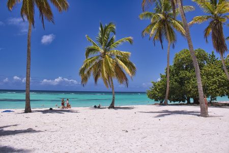 découvrez des destinations fascinantes à travers le monde. trouvez des idées de voyages, des conseils pratiques et des inspirations pour explorer de nouveaux horizons. que vous soyez à la recherche de plages paradisiaques, de villes culturelles ou d'aventures en pleine nature, nos sélections vous guideront vers des expériences inoubliables.