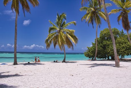 découvrez des destinations fascinantes à travers le monde. trouvez des idées de voyages, des conseils pratiques et des inspirations pour explorer de nouveaux horizons. que vous soyez à la recherche de plages paradisiaques, de villes culturelles ou d'aventures en pleine nature, nos sélections vous guideront vers des expériences inoubliables.