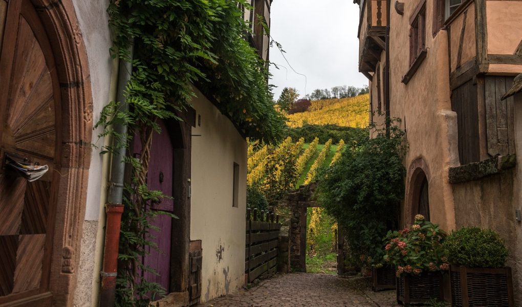 découvrez l'alsace, une région pittoresque de france connue pour ses charmants villages, sa délicieuse cuisine, ses vins renommés et son riche patrimoine culturel. partez à la rencontre de paysages à couper le souffle et d'une histoire fascinante.