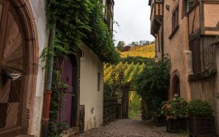 découvrez l'alsace, une région pittoresque de france connue pour ses charmants villages, sa délicieuse cuisine, ses vins renommés et son riche patrimoine culturel. partez à la rencontre de paysages à couper le souffle et d'une histoire fascinante.