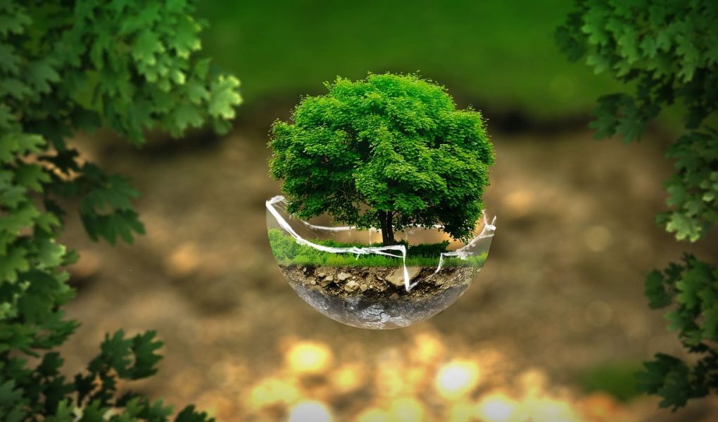 découvrez l'éco-voyage, une façon responsable d'explorer le monde tout en préservant la nature. inspirez-vous d'itinéraires durables, d'hébergements verts et de conseils pour minimiser votre empreinte carbone lors de vos aventures.