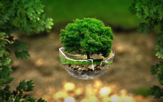 découvrez l'éco-voyage, une façon responsable d'explorer le monde tout en préservant la nature. inspirez-vous d'itinéraires durables, d'hébergements verts et de conseils pour minimiser votre empreinte carbone lors de vos aventures.