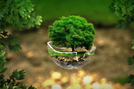 découvrez l'éco-voyage, une façon responsable d'explorer le monde tout en préservant la nature. inspirez-vous d'itinéraires durables, d'hébergements verts et de conseils pour minimiser votre empreinte carbone lors de vos aventures.