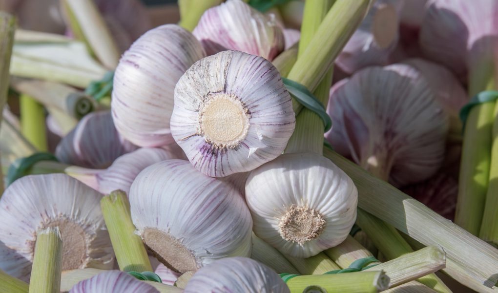 découvrez l'art culinaire à travers des recettes savoureuses, des techniques de cuisson innovantes et des conseils de chefs renommés. éveillez vos sens et transformez votre expérience gastronomique avec nos inspirations et astuces culinaires.