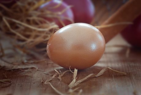 découvrez notre sélection de produits régionaux authentiques, alliant saveurs uniques et traditions artisanales. explorez les délices de chaque région et soutenez les producteurs locaux.