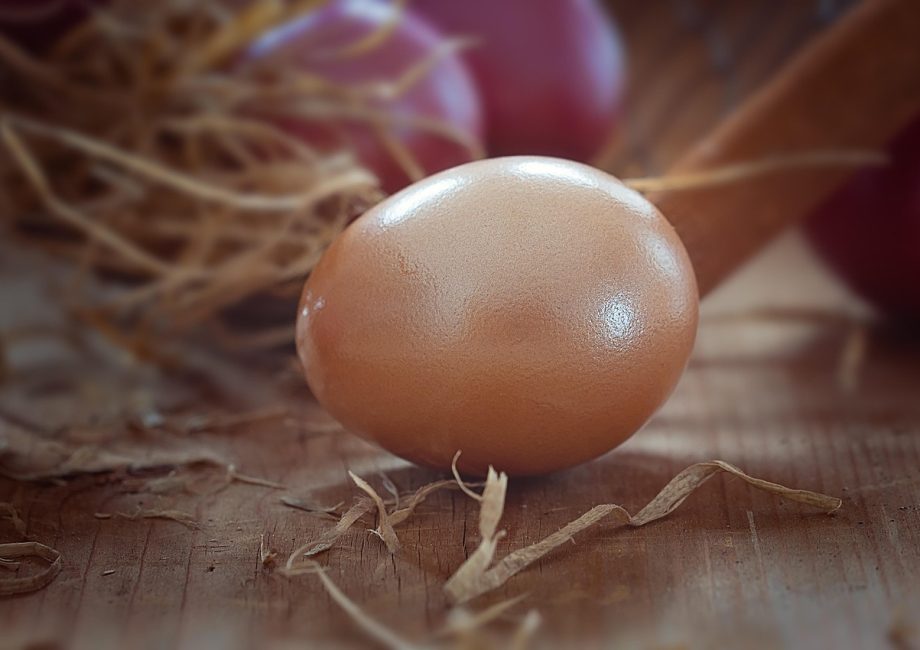 découvrez notre sélection de produits régionaux authentiques, alliant saveurs uniques et traditions artisanales. explorez les délices de chaque région et soutenez les producteurs locaux.