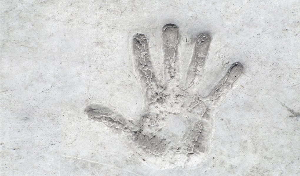 découvrez une expérience inoubliable qui marquera à jamais votre mémoire. plongez dans des moments uniques et créez des souvenirs qui resteront gravés dans votre cœur. ne manquez pas cette opportunité de vivre l'inoubliable.
