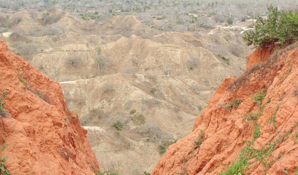 découvrez l'angola, un pays fascinant d'afrique australe, riche en culture, paysages diversifiés et histoire captivante. explorez ses parcs naturels, ses plages magnifiques et sa gastronomie unique, tout en apprenant sur les traditions et la vie quotidienne de ses habitants.