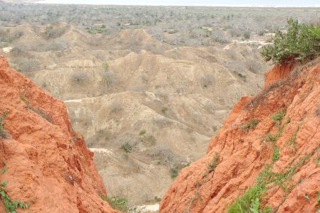 découvrez l'angola, un pays fascinant d'afrique australe, riche en culture, paysages diversifiés et histoire captivante. explorez ses parcs naturels, ses plages magnifiques et sa gastronomie unique, tout en apprenant sur les traditions et la vie quotidienne de ses habitants.