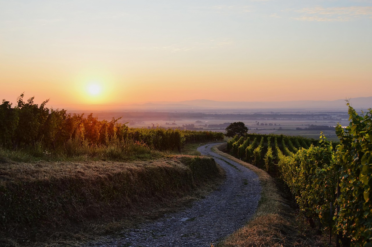 découvrez l'alsace, une région pittoresque de france, célèbre pour ses paysages enchanteurs, son riche patrimoine culturel, sa gastronomie savoureuse et ses charmants villages. explorez ses routes des vins et ses traditions authentiques.