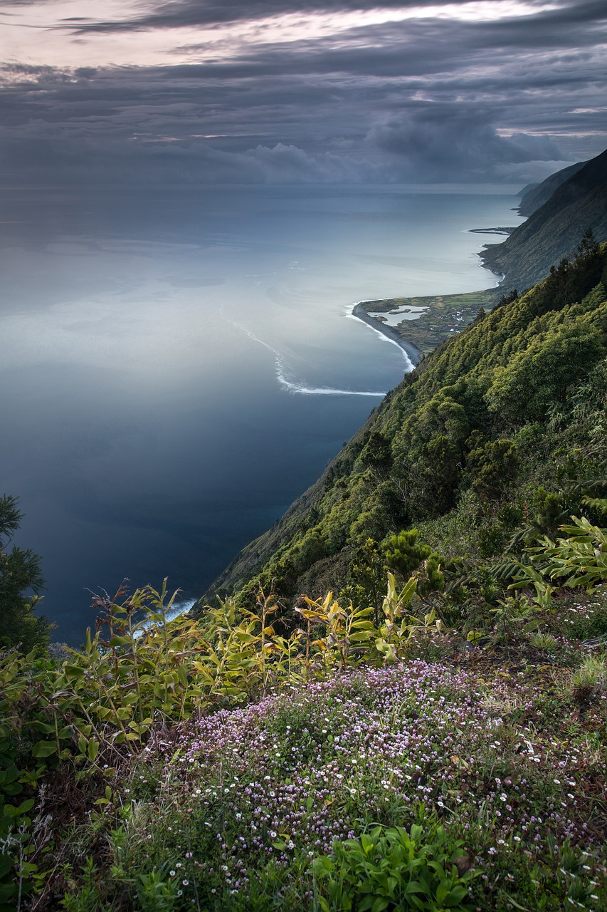 découvrez la richesse de la biodiversité, son importance pour notre planète et les actions à entreprendre pour la protéger. explorez les écosystèmes variés et la faune fascinante qui composent notre environnement naturel.
