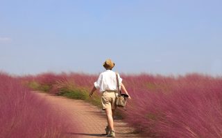découvrez des aventures en plein air inoubliables, alliant adrenaline et nature. explorez les paysages sauvages, partez en randonnée, faites du kayak ou escaladez des montagnes, et vivez des moments uniques en harmonie avec la nature!
