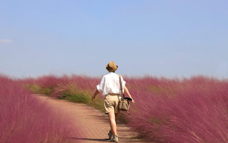 découvrez des aventures en plein air inoubliables, alliant adrenaline et nature. explorez les paysages sauvages, partez en randonnée, faites du kayak ou escaladez des montagnes, et vivez des moments uniques en harmonie avec la nature!