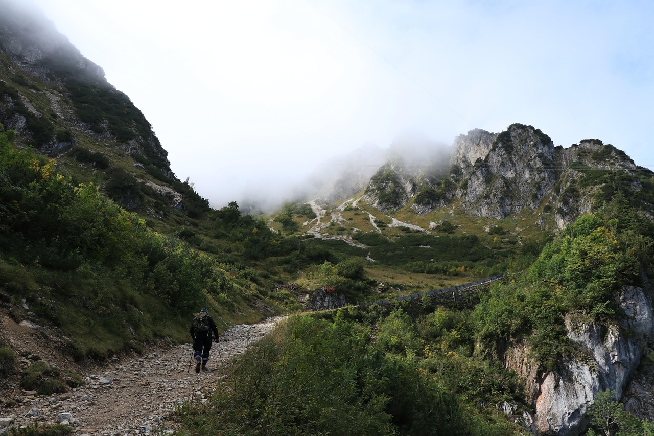 découvrez les plus beaux sentiers de randonnée à travers des paysages époustouflants. que vous soyez débutant ou randonneur aguerri, trouvez des conseils, des itinéraires et des astuces pour profiter pleinement de vos aventures en plein air.