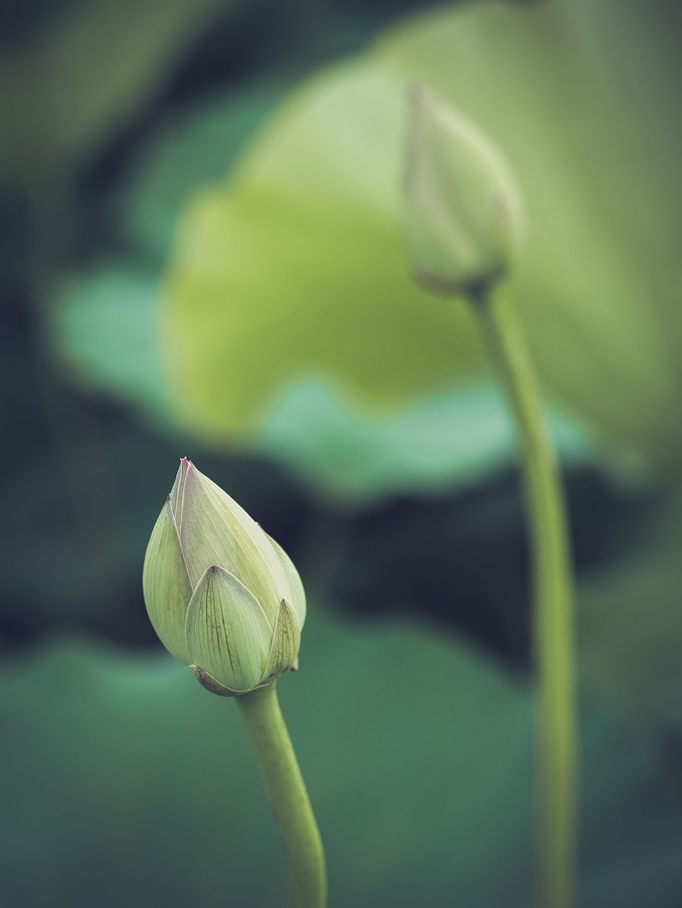 découvrez l'héritage spirituel à travers les traditions, croyances et pratiques qui façonnent notre compréhension du monde. explorez les chemins mystiques et les enseignements des sages pour enrichir votre parcours spirituel.
