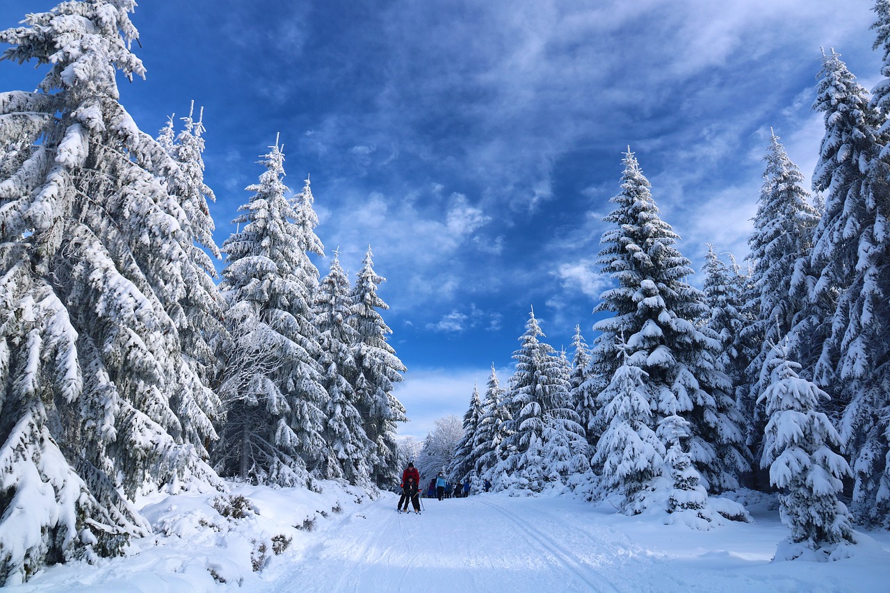 découvrez l'univers fascinant des sports d'hiver ! glissez sur les pistes enneigées, explorez nos conseils pour le ski, le snowboard et bien d'autres activités. préparez-vous à vivre des sensations fortes et à profiter de la magie des montagnes en hiver.