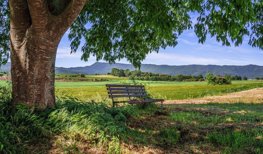 découvrez le tourisme rural : une expérience authentique au cœur de la nature, alliant détente, découvertes culturelles et rencontres avec les producteurs locaux. évadez-vous des sentiers battus et explorez la beauté des paysages en milieu rural.
