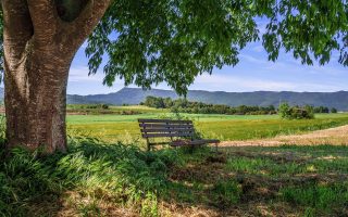 découvrez le tourisme rural : une expérience authentique au cœur de la nature, alliant détente, découvertes culturelles et rencontres avec les producteurs locaux. évadez-vous des sentiers battus et explorez la beauté des paysages en milieu rural.