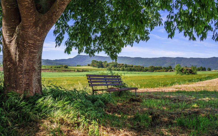 découvrez le tourisme rural : une expérience authentique au cœur de la nature, alliant détente, découvertes culturelles et rencontres avec les producteurs locaux. évadez-vous des sentiers battus et explorez la beauté des paysages en milieu rural.