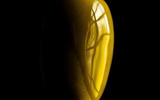 découvrez l'art de la gastronomie, un voyage sensoriel à travers les saveurs, les techniques culinaires et les traditions gastronomiques du monde entier. apprenez des recettes uniques, explorez des ingrédients raffinés et laissez-vous inspirer par des chefs passionnés.