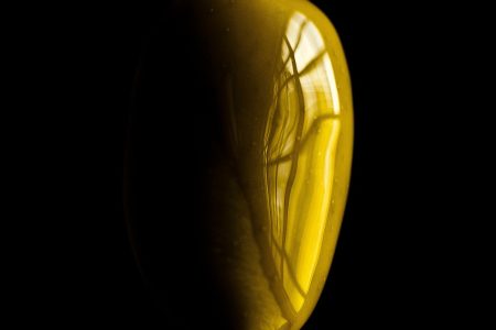 découvrez l'art de la gastronomie, un voyage sensoriel à travers les saveurs, les techniques culinaires et les traditions gastronomiques du monde entier. apprenez des recettes uniques, explorez des ingrédients raffinés et laissez-vous inspirer par des chefs passionnés.