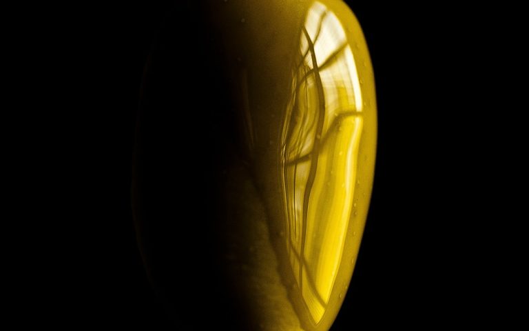 découvrez l'art de la gastronomie, un voyage sensoriel à travers les saveurs, les techniques culinaires et les traditions gastronomiques du monde entier. apprenez des recettes uniques, explorez des ingrédients raffinés et laissez-vous inspirer par des chefs passionnés.