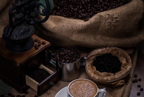 découvrez parzy, une plateforme innovante dédiée aux passionnés de la nature et du bien-être. explorez nos conseils, astuces et produits pour vivre en harmonie avec votre environnement et améliorer votre qualité de vie au quotidien.