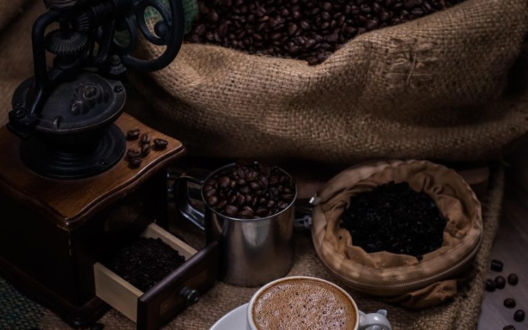 découvrez parzy, une plateforme innovante dédiée aux passionnés de la nature et du bien-être. explorez nos conseils, astuces et produits pour vivre en harmonie avec votre environnement et améliorer votre qualité de vie au quotidien.