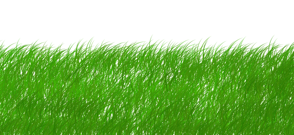 découvrez comment adopter un mode de vie durable grâce à nos conseils pratiques, astuces écologiques et solutions innovantes pour préserver notre planète tout en vivant harmonieusement.