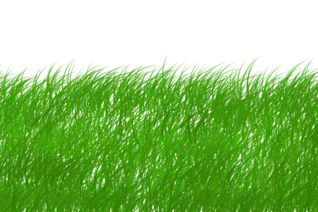 découvrez comment adopter un mode de vie durable grâce à nos conseils pratiques, astuces écologiques et solutions innovantes pour préserver notre planète tout en vivant harmonieusement.