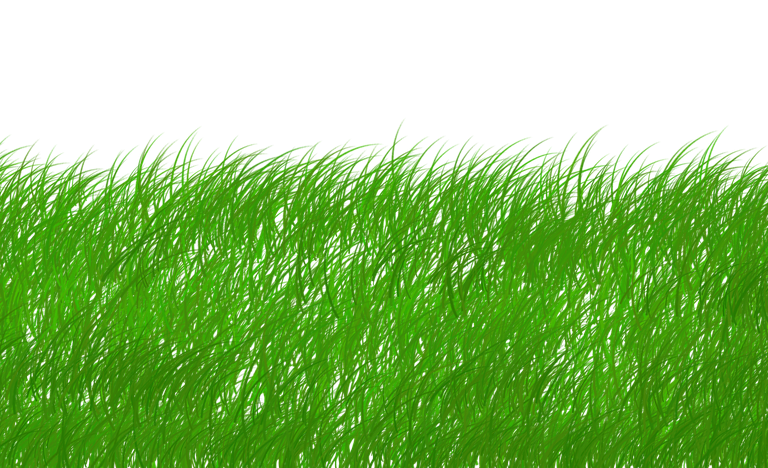 découvrez comment adopter un mode de vie durable grâce à nos conseils pratiques, astuces écologiques et solutions innovantes pour préserver notre planète tout en vivant harmonieusement.