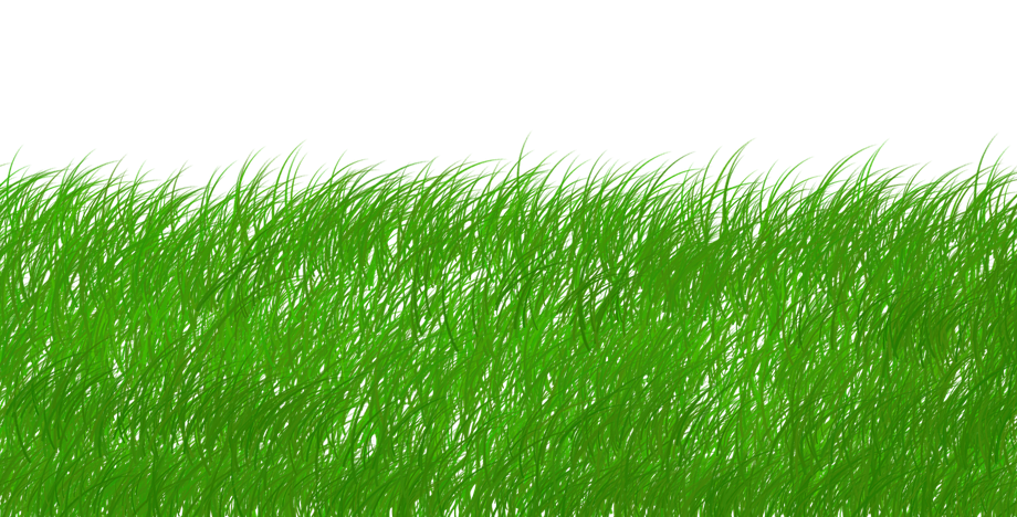 découvrez comment adopter un mode de vie durable grâce à nos conseils pratiques, astuces écologiques et solutions innovantes pour préserver notre planète tout en vivant harmonieusement.