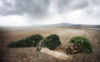 découvrez l'écologie, une science essentielle pour comprendre les interactions entre les êtres vivants et leur environnement. explorez les enjeux de la conservation, la biodiversité et les solutions pour un avenir durable.