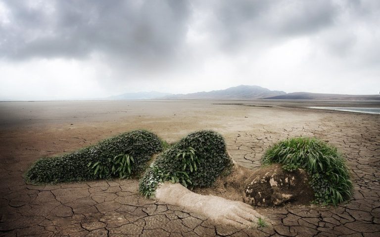 découvrez l'écologie, une science essentielle pour comprendre les interactions entre les êtres vivants et leur environnement. explorez les enjeux de la conservation, la biodiversité et les solutions pour un avenir durable.