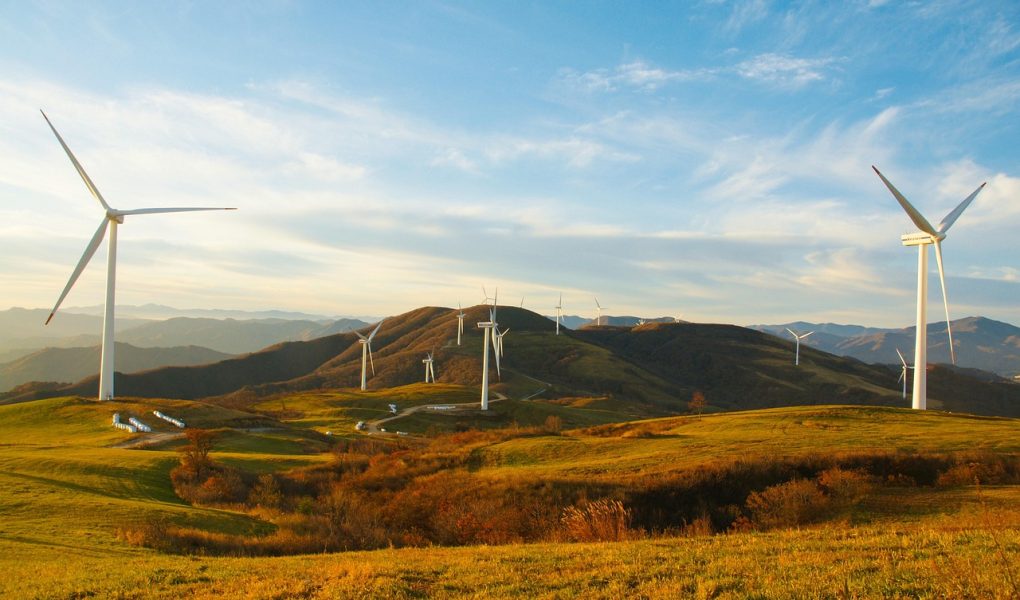 découvrez l'écotourisme durable : une approche respectueuse de l'environnement qui préserve les écosystèmes tout en offrant des expériences authentiques et enrichissantes. explorez des destinations qui favorisent la conservation et le bien-être des communautés locales.