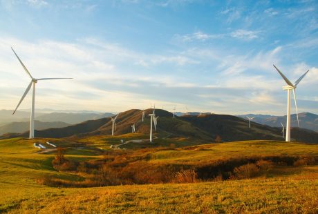découvrez l'écotourisme durable : une approche respectueuse de l'environnement qui préserve les écosystèmes tout en offrant des expériences authentiques et enrichissantes. explorez des destinations qui favorisent la conservation et le bien-être des communautés locales.