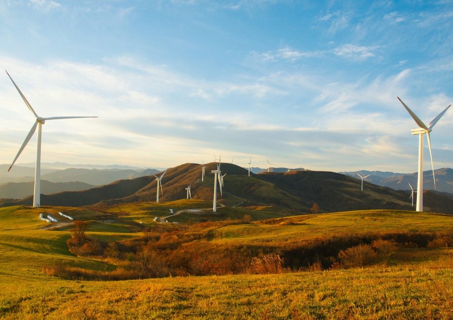 découvrez l'écotourisme durable : une approche respectueuse de l'environnement qui préserve les écosystèmes tout en offrant des expériences authentiques et enrichissantes. explorez des destinations qui favorisent la conservation et le bien-être des communautés locales.
