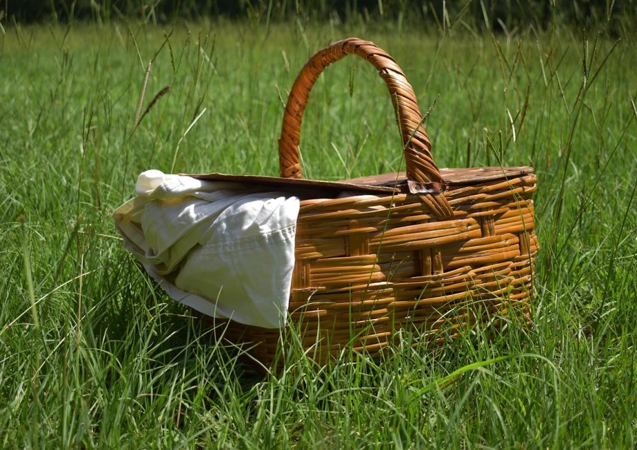 découvrez l'art des pique-niques parfaits avec nos conseils et idées pour savourer des moments inoubliables en plein air. explorez des recettes délicieuses, des astuces d'organisation et des lieux idéaux pour profiter de la nature.