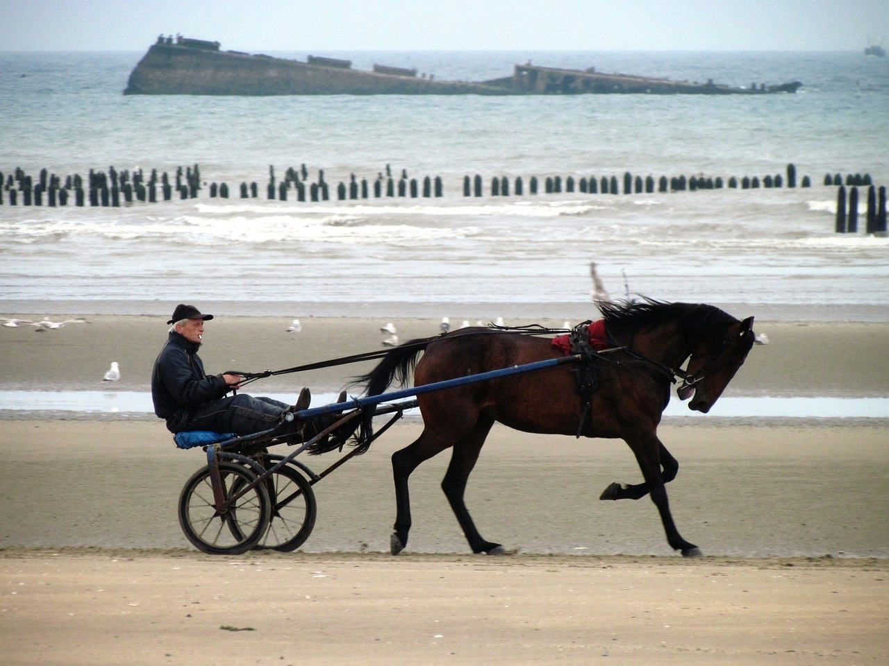 découvrez les plus belles plages du monde, où le sable doré rencontre des eaux cristallines. parfaites pour la détente, les activités nautiques et des souvenirs inoubliables au soleil.