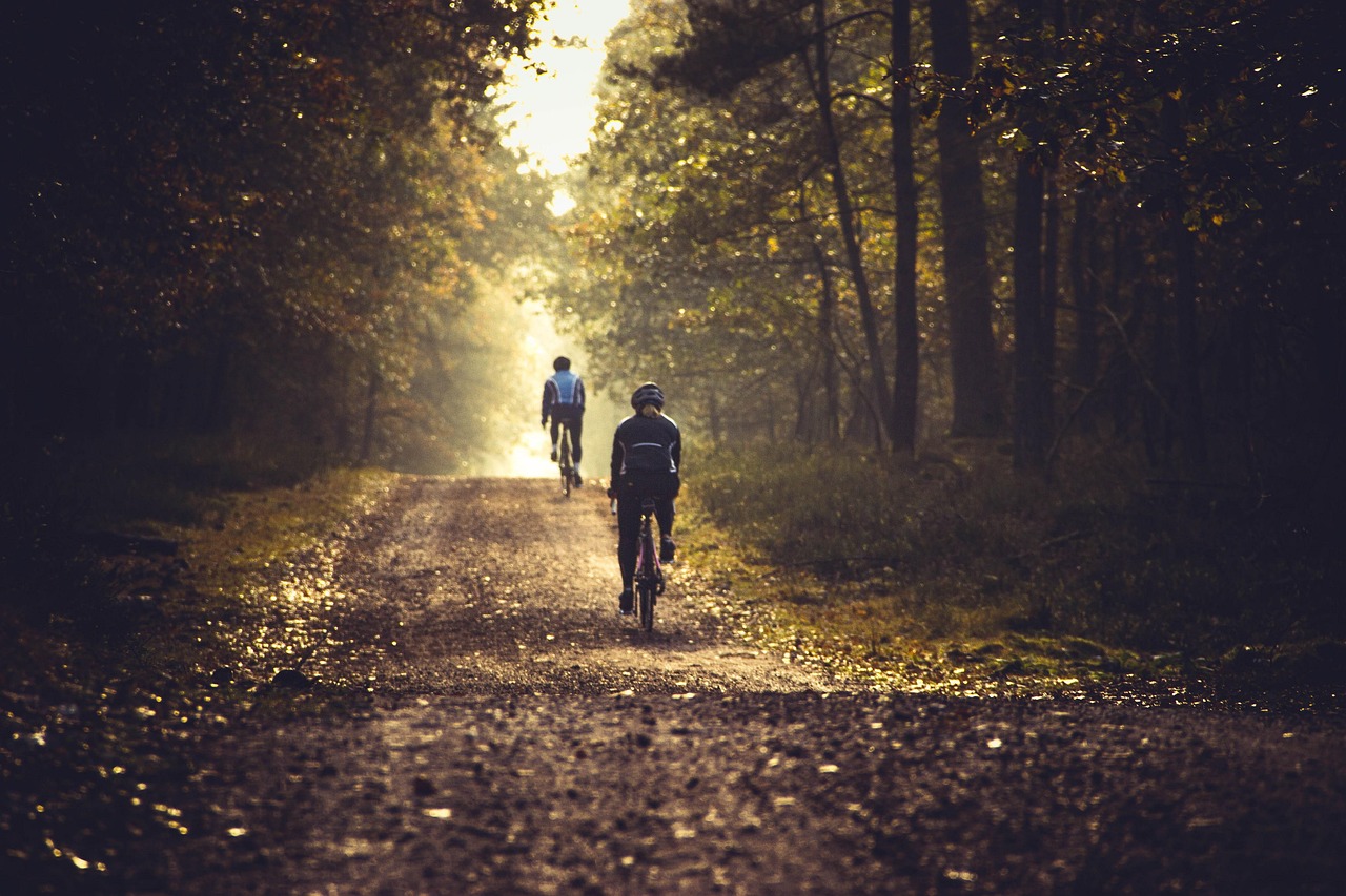découvrez notre vaste sélection de vélos adaptés à tous les styles et niveaux, allant des vélos de ville pratiques aux vélos de montagne performants. profitez de l'expérience de la bicyclette tout en améliorant votre santé et en préservant l'environnement.