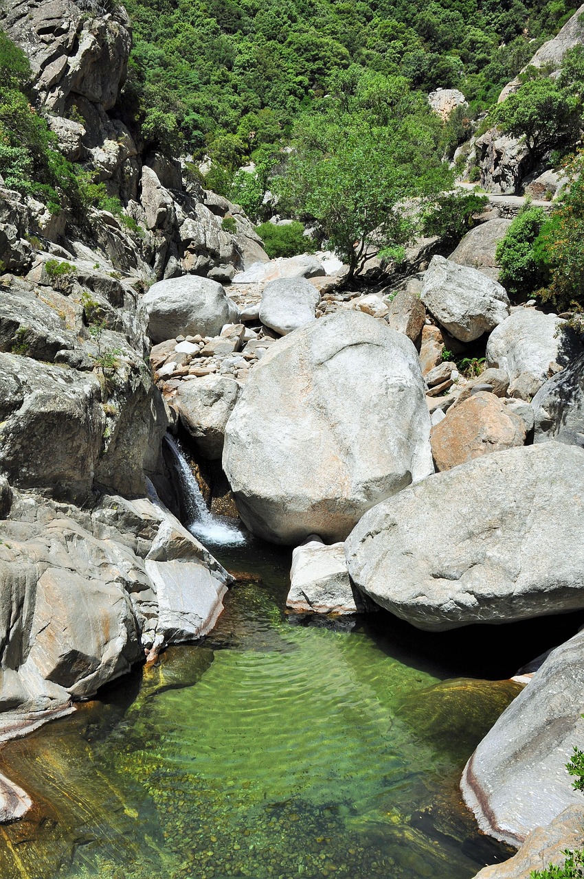 découvrez le canyoning, une aventure palpitante en pleine nature ! partez à la conquête des rivières et des gorges, entre sauts, toboggans et randonnées aquatiques. vivez des sensations fortes et connectez-vous avec l'environnement au cours de cette activité ludique et sportive.