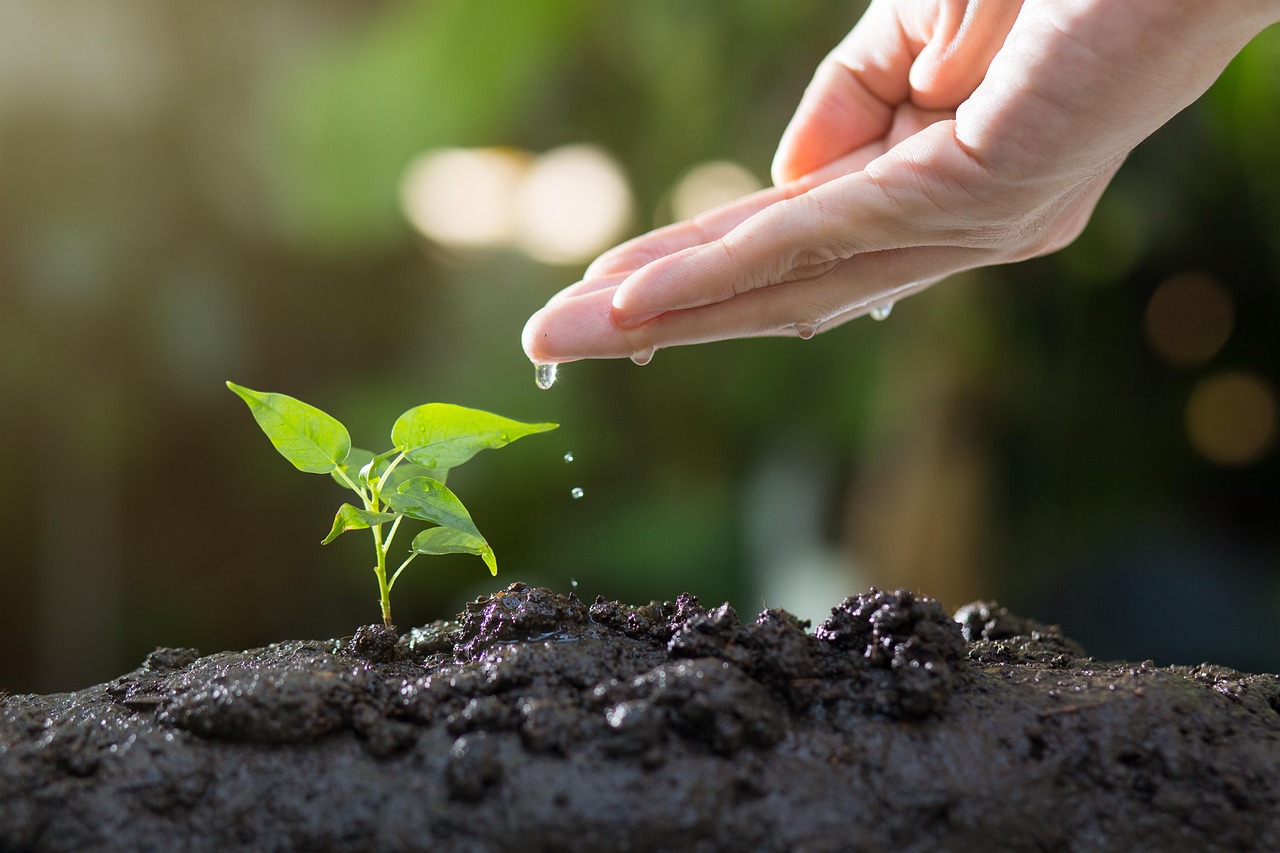 découvrez l'écologie, une science essentielle qui étudie les relations entre les êtres vivants et leur environnement. plongez dans les enjeux environnementaux, la biodiversité, et les solutions pour un développement durable.