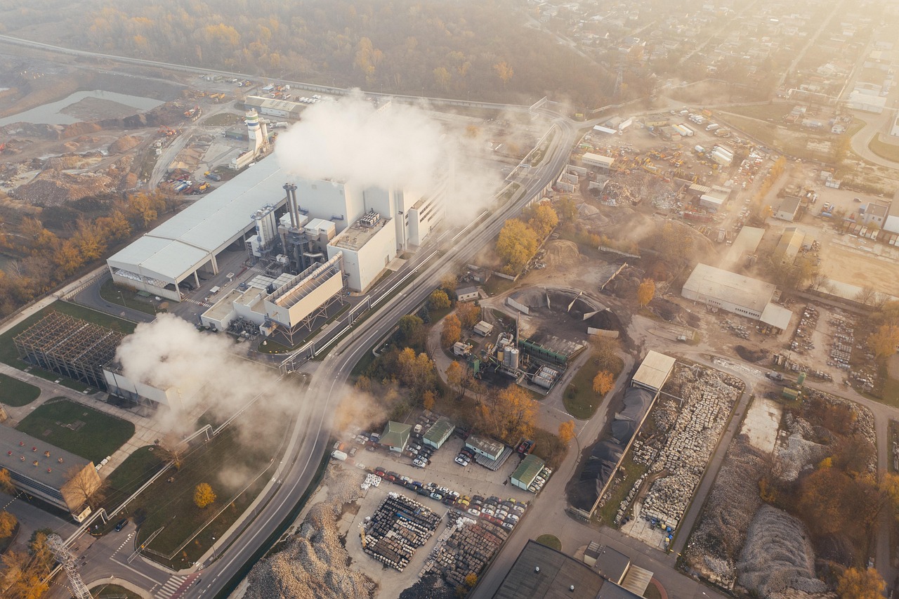 découvrez l'écologie, l'étude des interactions entre les organismes et leur environnement. apprenez l'importance de la préservation des écosystèmes, de la biodiversité et des solutions durables pour un futur sain et équilibré.