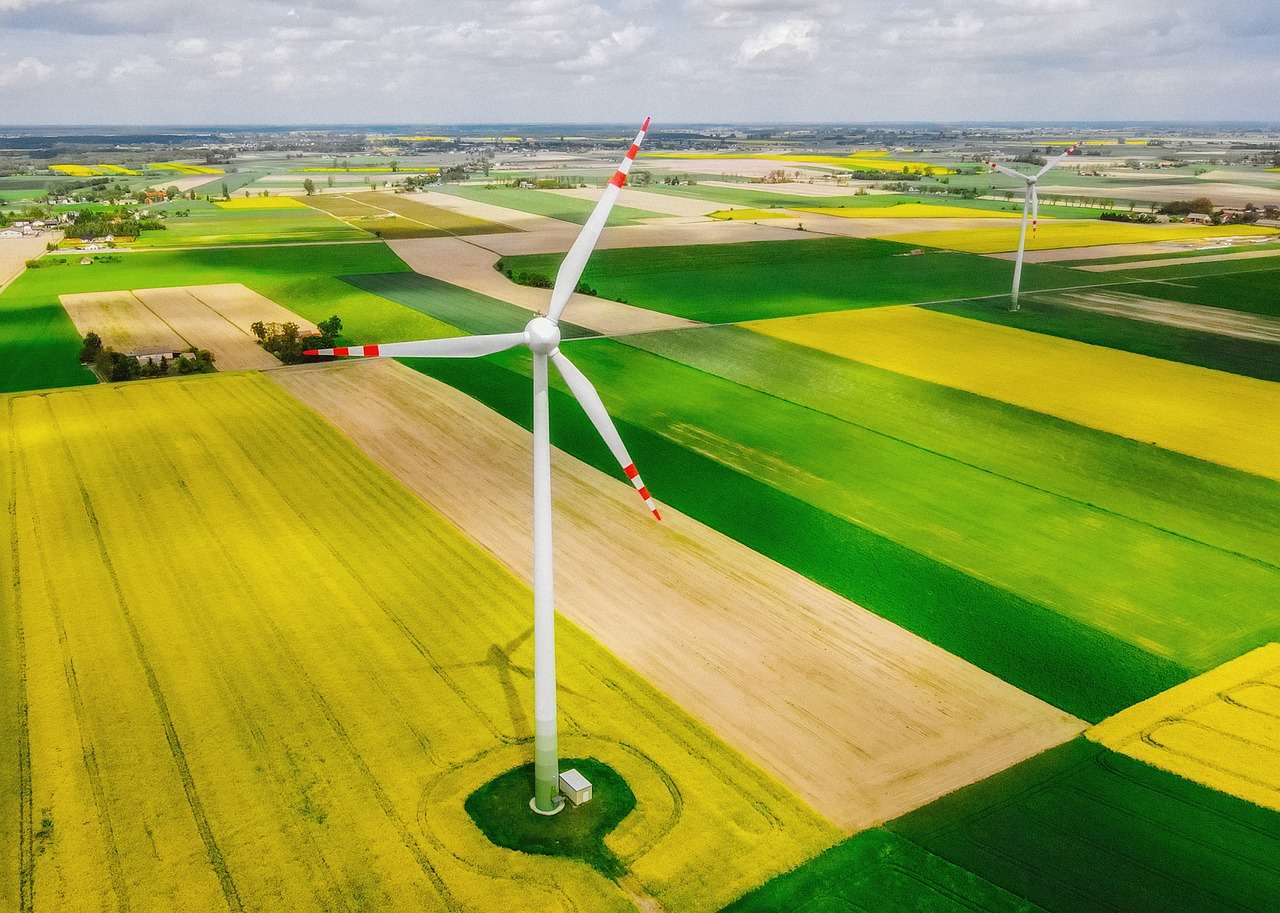 découvrez l'écologie, la science qui étudie les interactions entre les organismes vivants et leur environnement. apprenez comment préserver notre planète et promouvoir des pratiques durables pour un avenir sain.