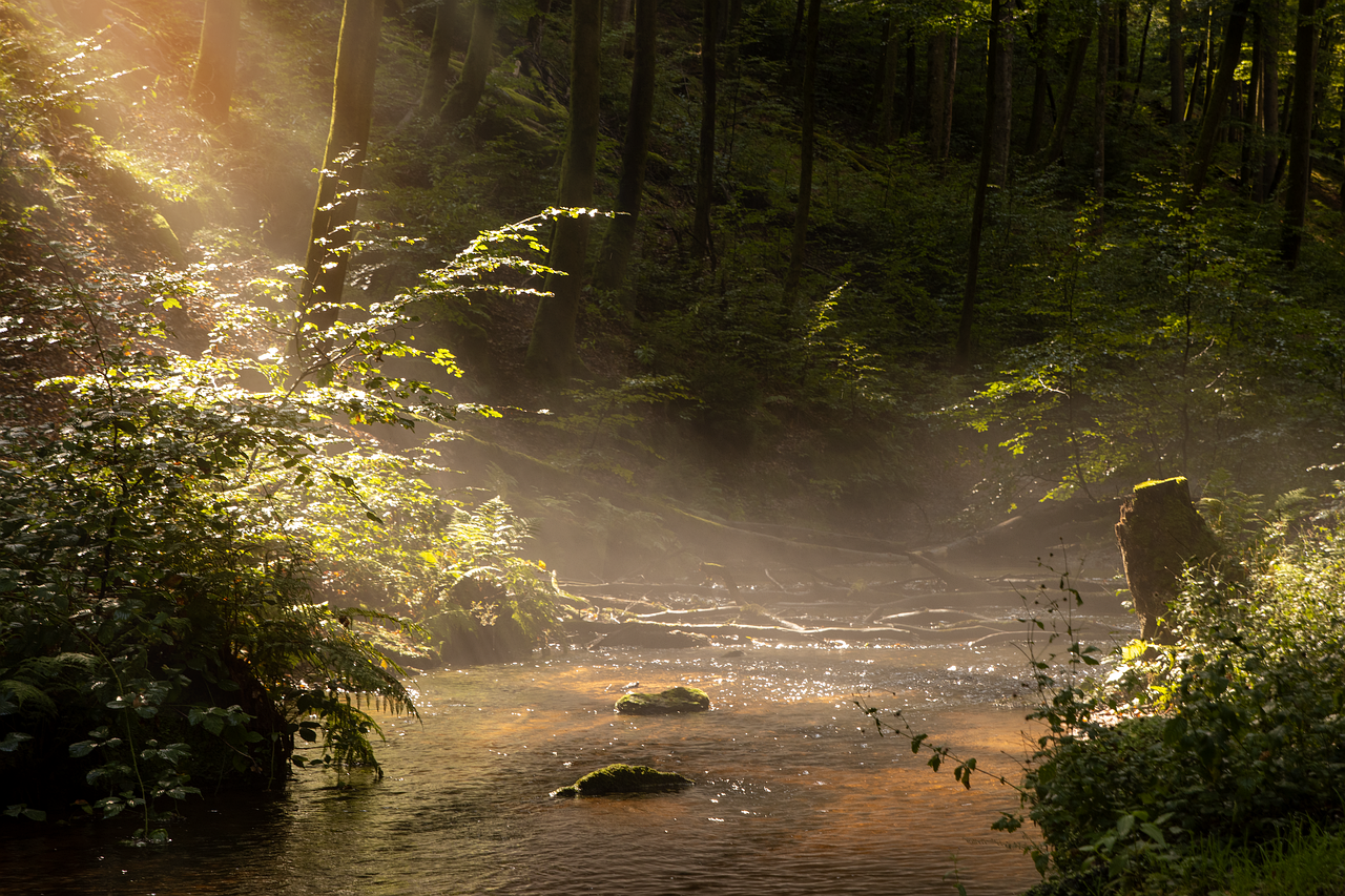 découvrez l'essence de l'été avec nos conseils sur les meilleures activités, destinations et tendances estivales pour profiter pleinement de cette saison ensoleillée.
