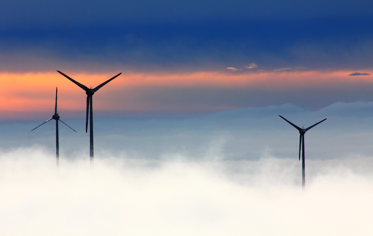 découvrez notre guide complet sur la durabilité : des pratiques écologiques aux innovations responsables, explorez comment vivre en harmonie avec la planète tout en préservant ses ressources pour les générations futures.