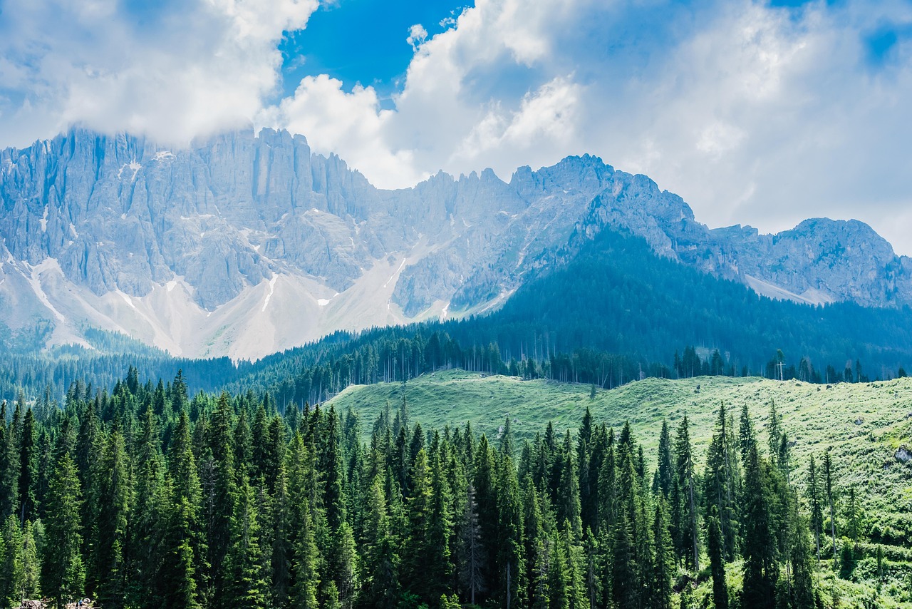découvrez l'écotourisme durable : une aventure respectueuse de l'environnement qui vous connecte à la nature tout en soutenant les communautés locales. explorez des destinations authentiques et préservez la biodiversité grâce à des pratiques responsables.
